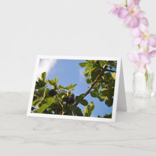 Tarjeta Árbol de hilo, retrato del cielo azul