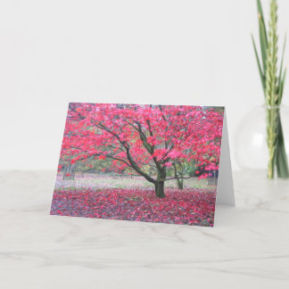 Tarjeta Árbol de la caída