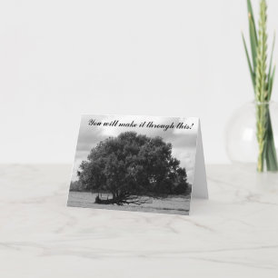 Tarjeta Árbol de la vida
