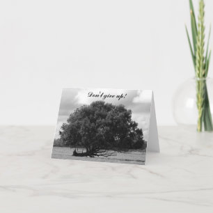 Tarjeta Árbol de la vida