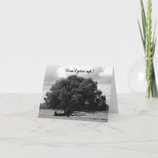 Tarjeta Árbol de la vida (Anverso)