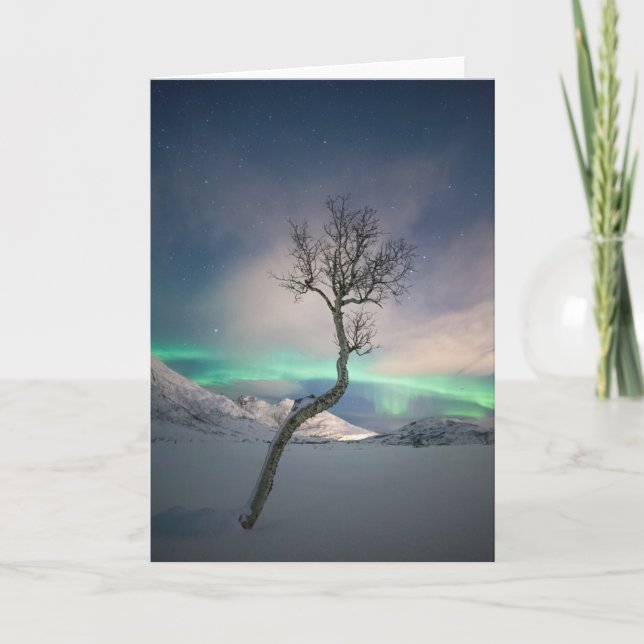 Tarjeta Árbol de luces boreales (Anverso)