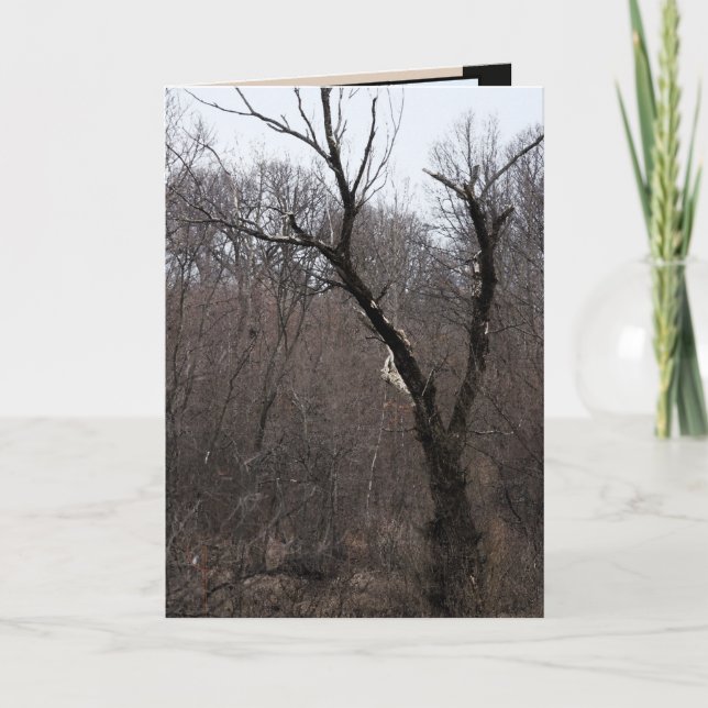 Tarjeta Árbol de Malificent (Anverso)