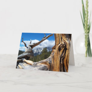 Tarjeta Árbol de montaña en blanco dentro de todas las oca