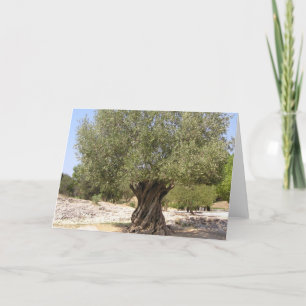 Tarjeta Árbol de oliva de Israel