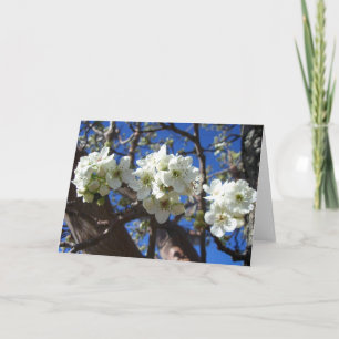 Tarjeta Árbol de peras florido de primavera de los Cluster
