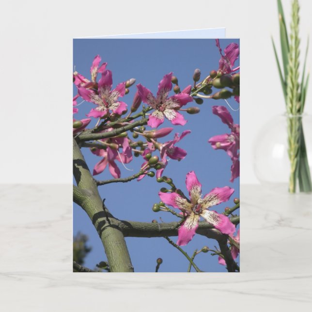 Tarjeta Árbol de pérdida de seda (Anverso)