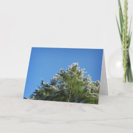 Tarjeta Árbol de pino con puntas de nieve en cielo azul