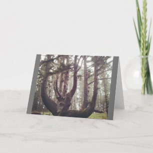 Tarjeta Árbol de pulpo, meares de Cabo, orregón