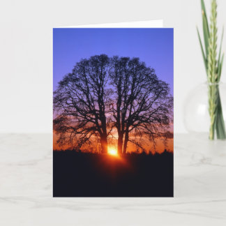 Tarjeta Árbol de roble al atardecer