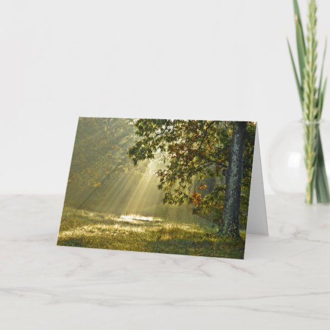 Tarjeta Árbol de roble con fotografías matutinas de la nat (Anverso)