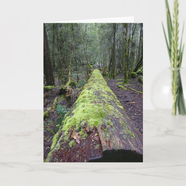 Tarjeta Árbol de Tassie (Anverso)