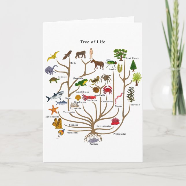 Tarjeta Árbol De Vida (Anverso)