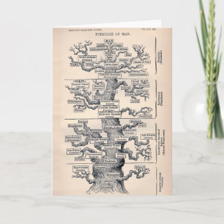 Tarjeta Árbol De Vida / Pedigree De Hombre
