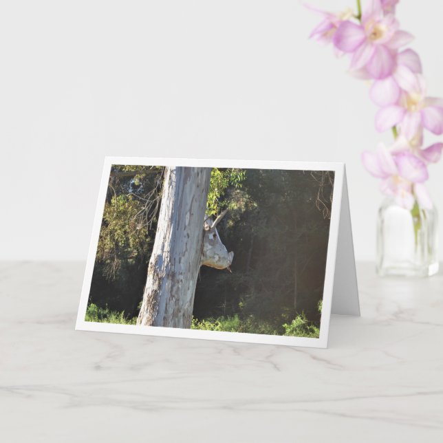 Tarjeta Árbol del Toro en Valencia, España, español (Orquídea)