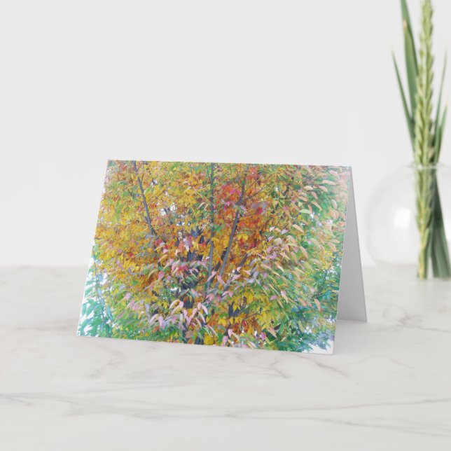 Tarjeta Árbol desconocido (Anverso)