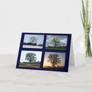 Tarjeta Árbol en 4 estaciones