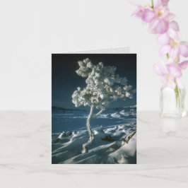Tarjeta Árbol escarpado y Nieve en los cremalleros de la l