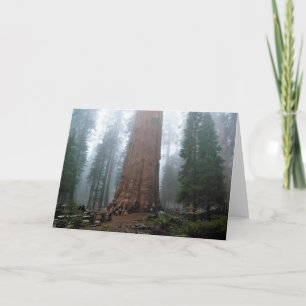 Tarjeta Árbol general Sherman, Sequoia, CA
