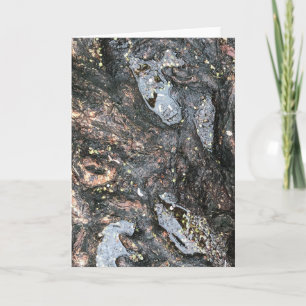 Tarjeta Árbol lluvioso, raíces, fotografía de la naturalez