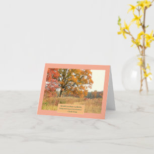 TARJETA "ÁRBOL MAJESTICO A LO LARGO DEL CAMINO DE WOODLAND