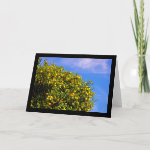 Tarjeta Árbol mandarino bajo cielo azul