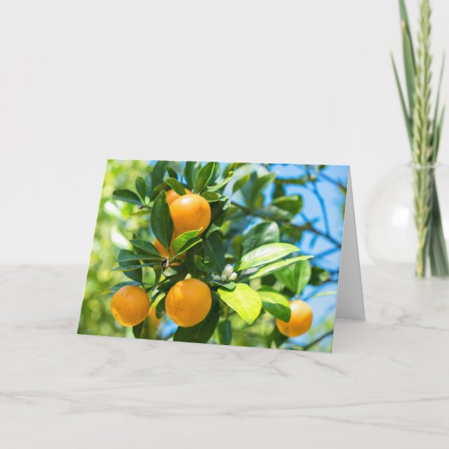 Tarjeta Árbol Naranja frutado (Anverso)