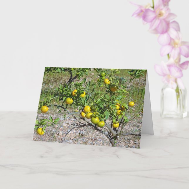 Tarjeta Árbol Naranja mandarín (Orquídea)