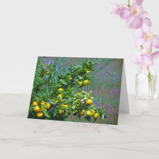 Tarjeta Árbol Naranja mandarín (Orquídea)