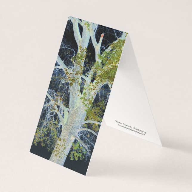 Tarjeta "Árbol nocturno" Imagen digital modificada de Tree (Anverso)