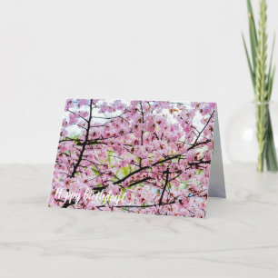 Tarjeta Árbol Sakura En Bloom Rosa Completo En Primavera