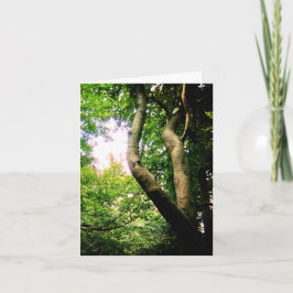 Tarjeta Árbol sinuoso