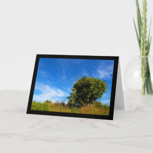 Tarjeta Árbol solitario de mandarina