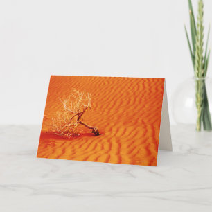 Tarjeta Árbol solitario en la furiosa arena roja del desie