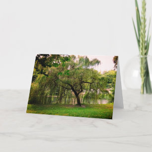 Tarjeta Árbol verde