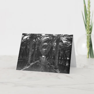 Tarjeta Arboleda de la palma datilera durante Irrigation,