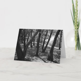 Tarjeta Arboleda en Hopland Station, 1966