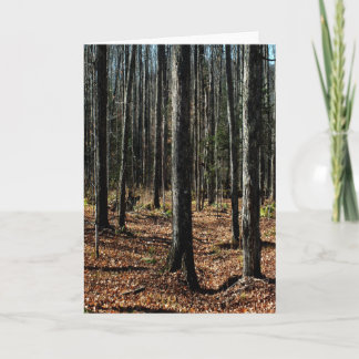 Tarjeta Árboles a fines de otoño: bosque transformado digi