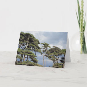 Tarjeta Árboles altos con cielo azul en blanco