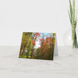 Tarjeta Árboles caídos y fotografía de la naturaleza otoña