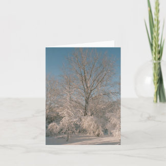 Tarjeta Árboles cargados con la nieve Notecards