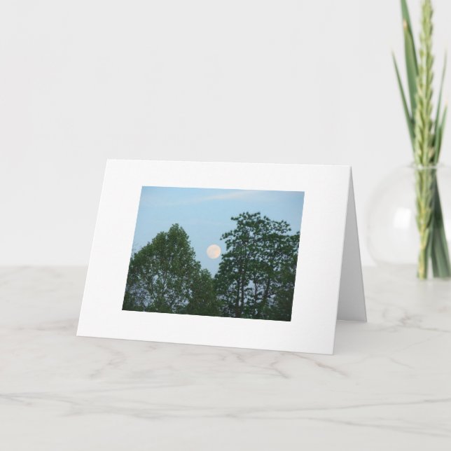 Tarjeta Árboles, cita de motivación (Anverso)