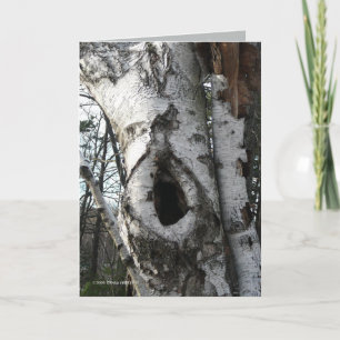 Tarjeta Árboles de abedul del invierno