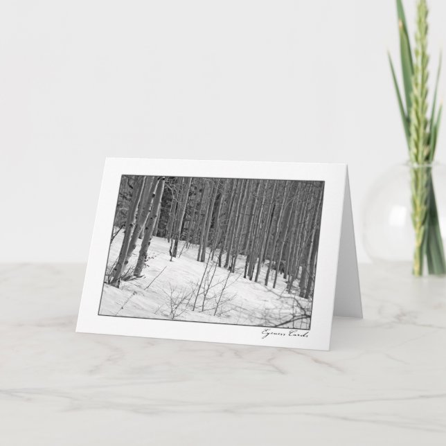 Tarjeta Árboles de abedul en Nieve-Negro y blanco (Anverso)