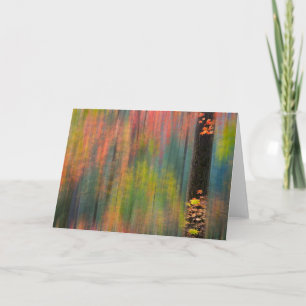 Tarjeta Árboles de arce Parque estatal de Silver Falls