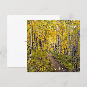 Tarjeta Árboles De Aspen En Caída