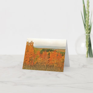 Tarjeta ÁRBOLES DE COLOR naranja CON VISTAS AL LAGO A DIST