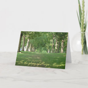 Tarjeta Árboles de fila superiores Bryn Mawr