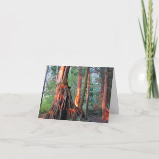 Tarjeta Árboles de fuego
