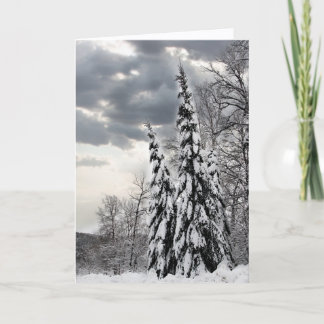 Tarjeta Árboles de hoja perenne cubiertos de nieve bajo un